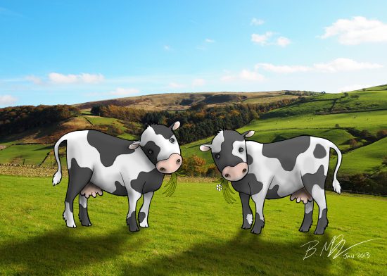 Cows