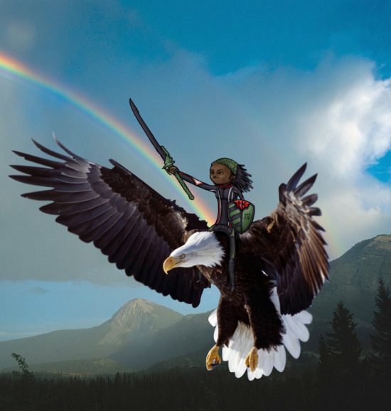 Flying with Eagles